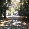 View up the driveway to the lab