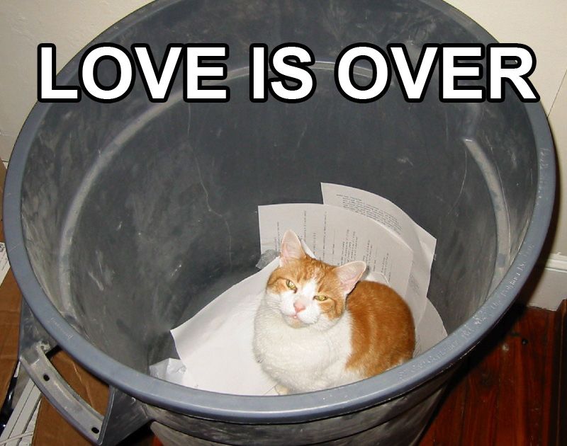 LOVE IS OVER