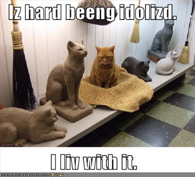 funny pictures of cats with captions